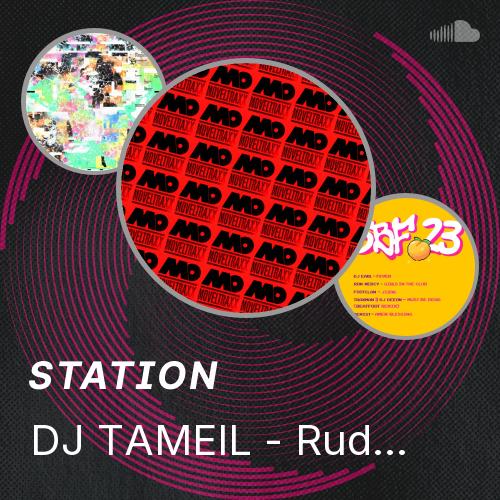 DJ TAMEIL - Rude Boy Giddy Up - Listen to music