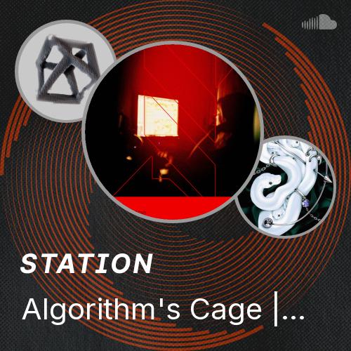 The Algorithm Cage Algorithm's Cage || Free DL week19 - Listen to music