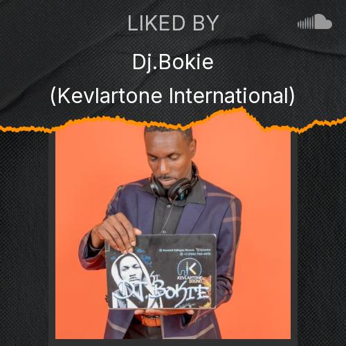 Dj.Bokie (Kevlartone International)'s Picks - Listen to music