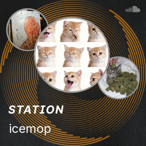 Icemop icemop - Listen to music