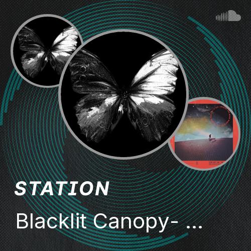 Blacklit Canopy- Mud Angel - Listen to music