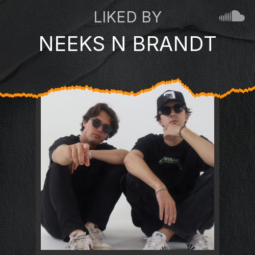 NEEKS N BRANDT's Picks - Listen to music