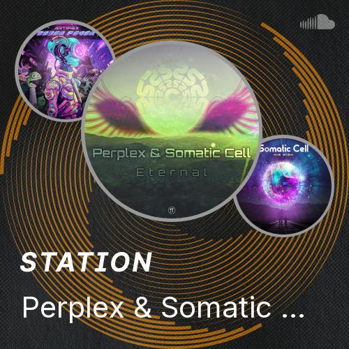 Perplex & Somatic Cell - Eternal ** FREE DOWNLOAD ** In loving memory ...