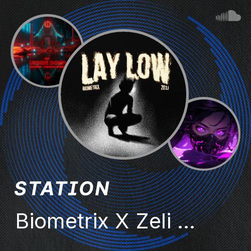 Biometrix X Zeli - Lay Low - Listen to music