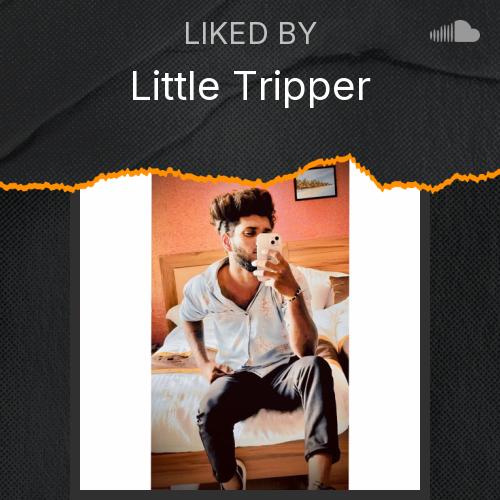 Little Tripper's Picks - Listen to music
